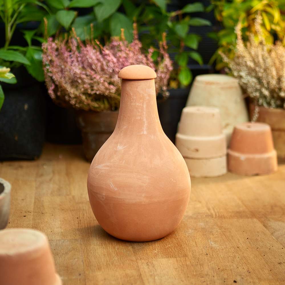Olla